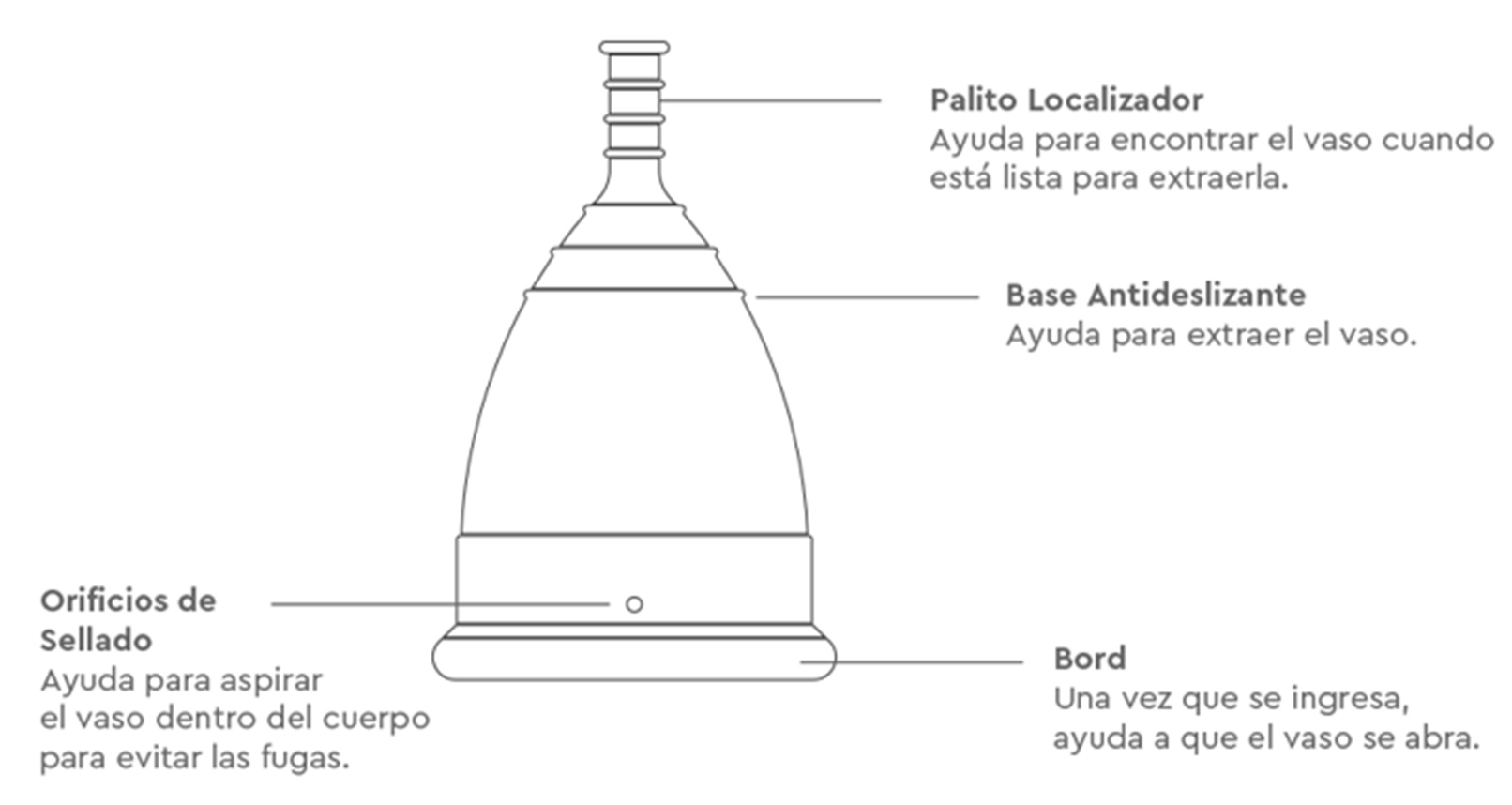 WellCup Menstrual Cup