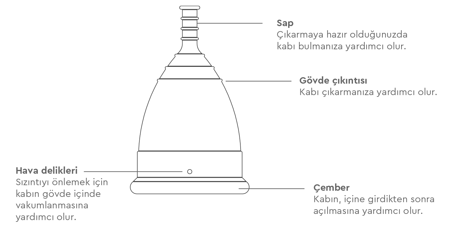 WellCup Regl Kabı