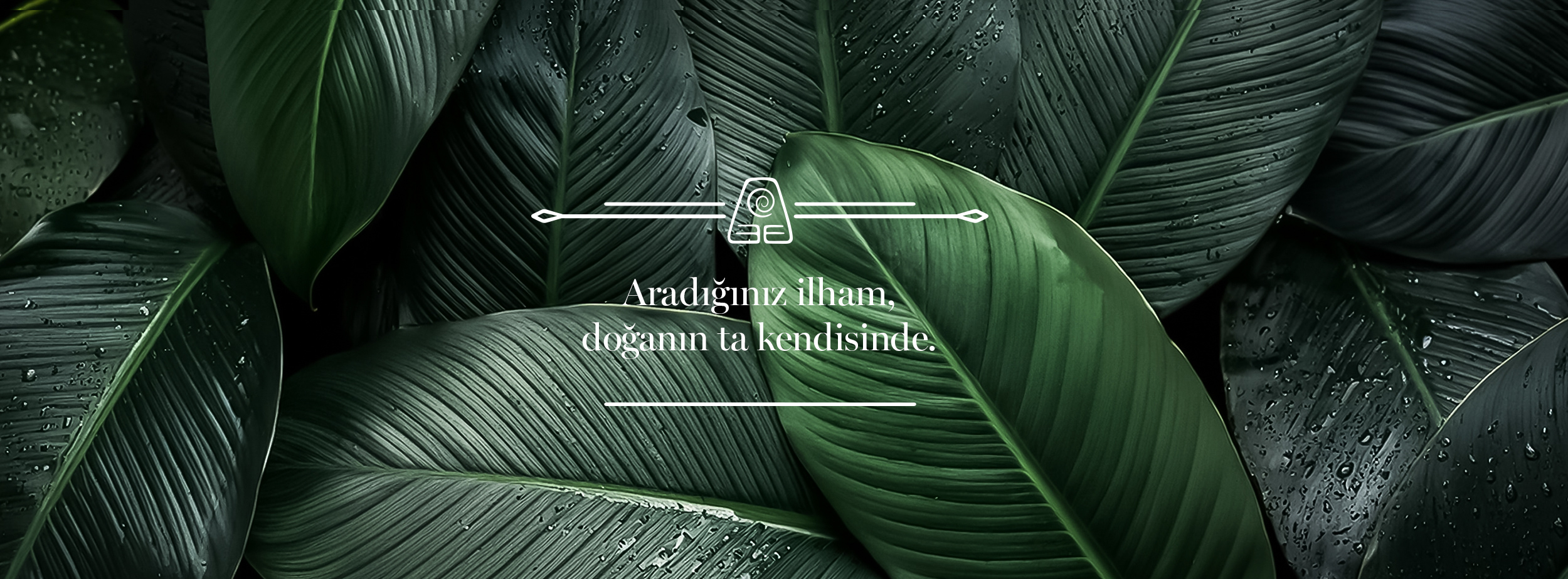 sürdürülebilir hijyen