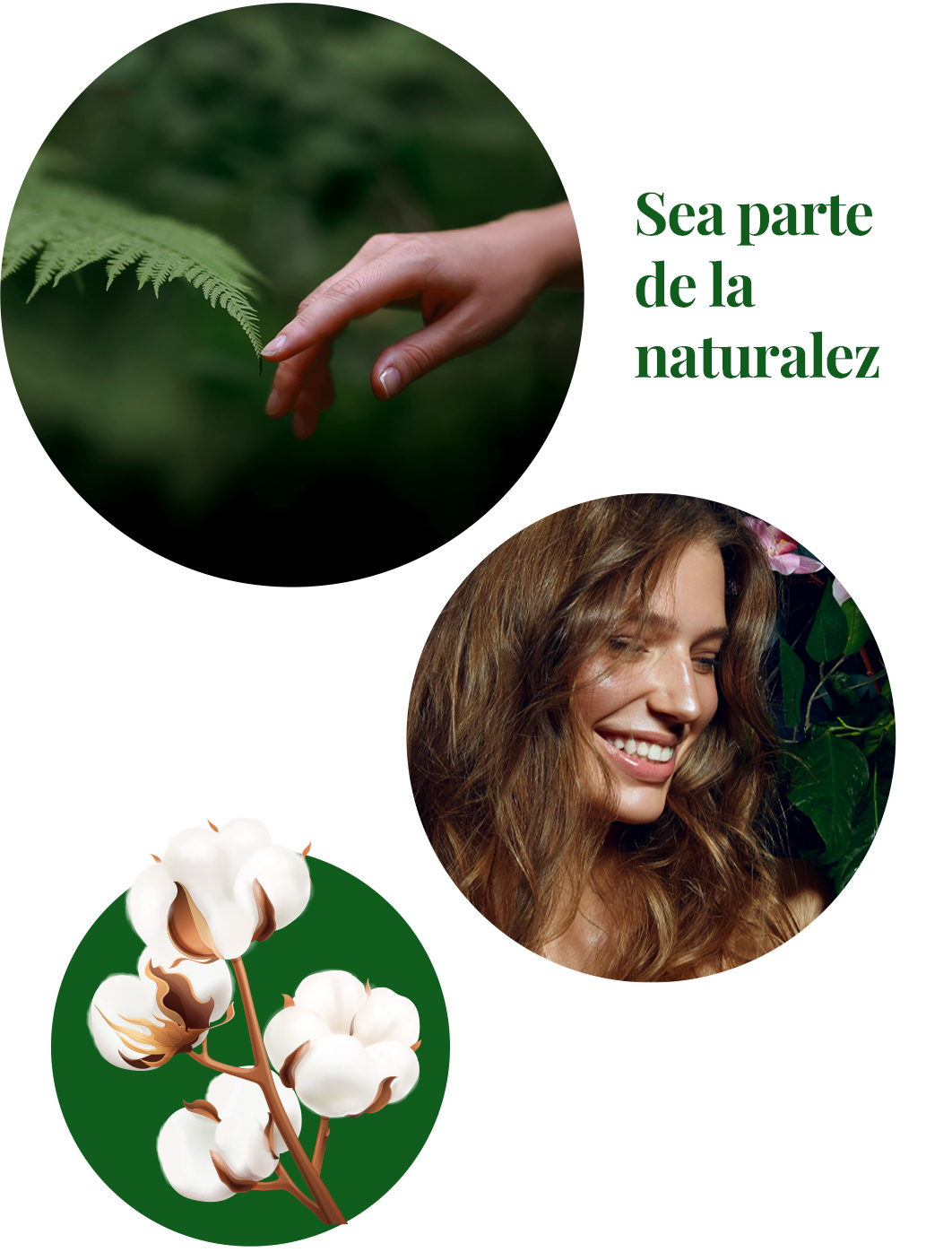 sustainable hygiene be part of the nature