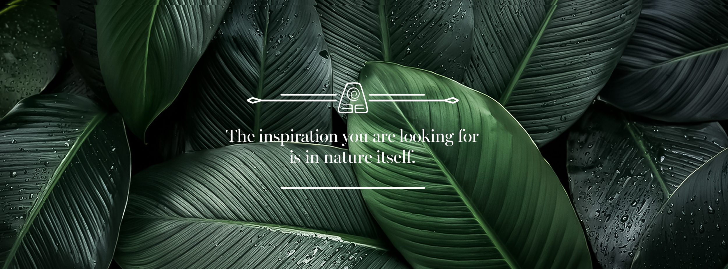 sustainable hygiene inspiration